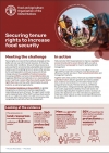 Securing tenure  rights to increase  food security